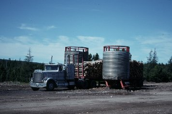 Load liners for aligning logs for transport on public roads